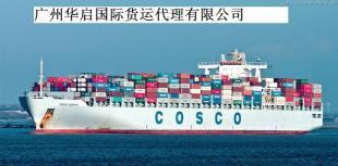 深圳专业非洲出口海运服务，助力运动休闲产品扬帆出海